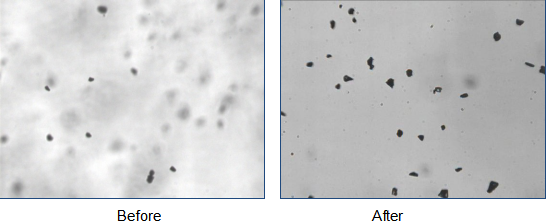 Analizador de tamaño de partículas de imagen dinámica Winner100D