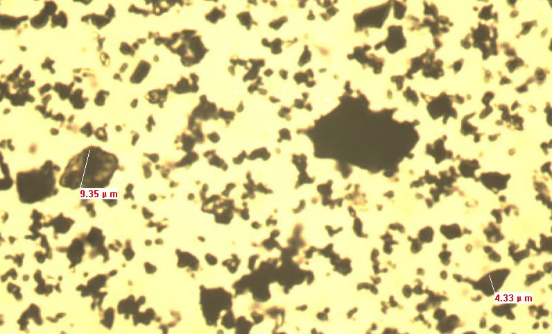 Ganador: Analizador de tamaño de partículas de imagen estática 99E