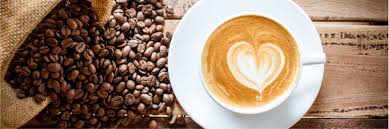 Aplicación del analizador láser de tamaño de partículas en el campo cafetalero. Aplicación del analizador láser de tamaño de partículas en el campo cafetalero.