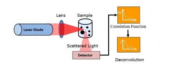 ¿Qué es la dispersión dinámica de la luz?cid=20