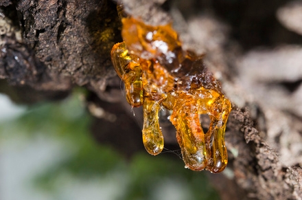 Aplicaci&oacute;n del analizador l&aacute;ser del tama&ntilde;o de part&iacute;culas en la industria de la resina