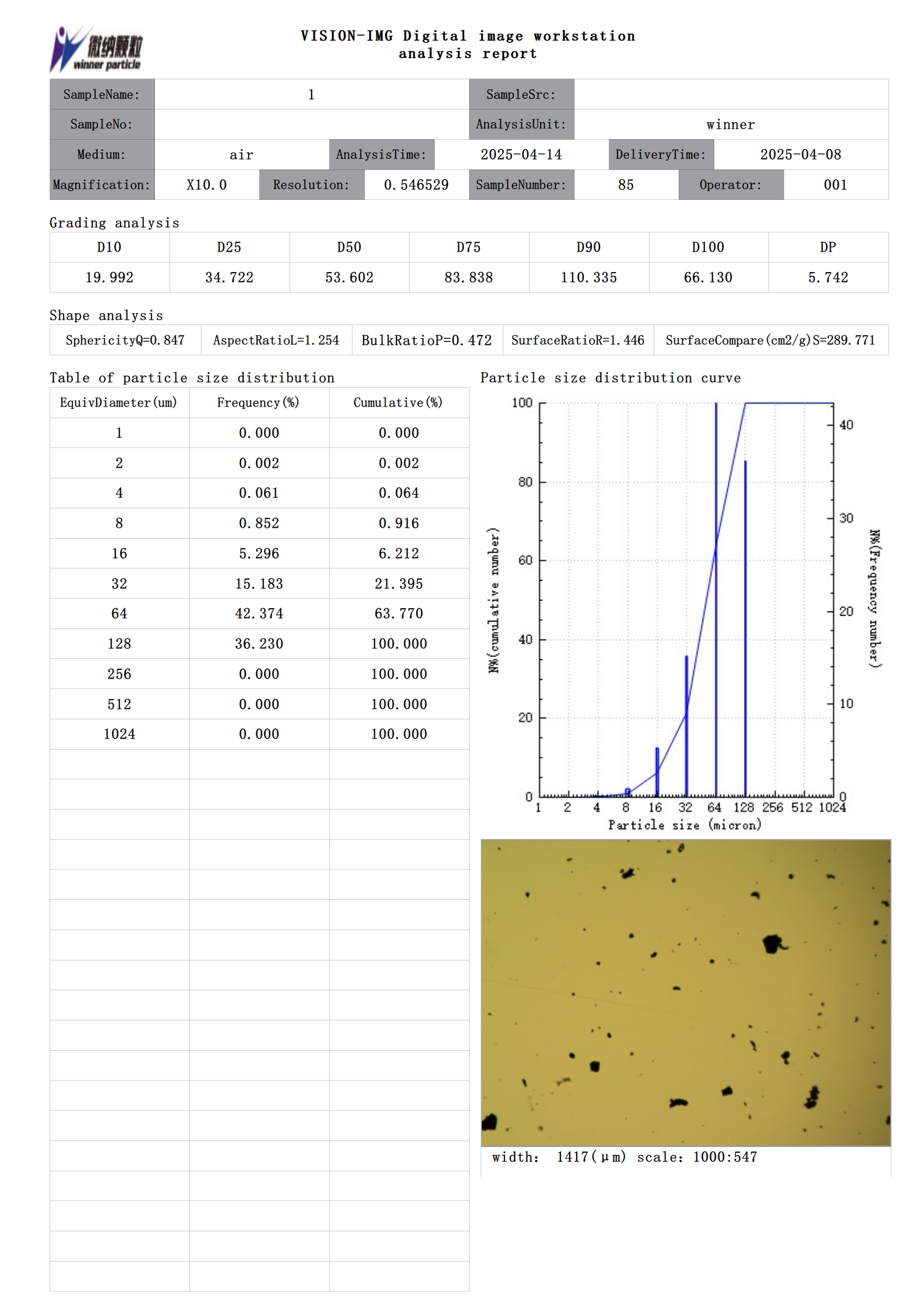 Analizador de tamaño de partículas de imagen estática Winner99E